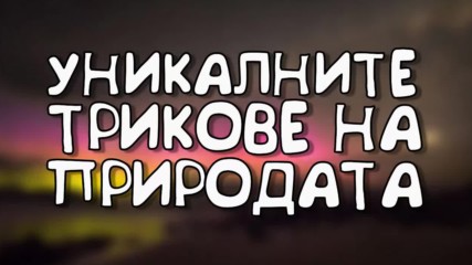 Уникалните трикове на природата