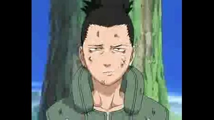 Temari And Shikamaru Love