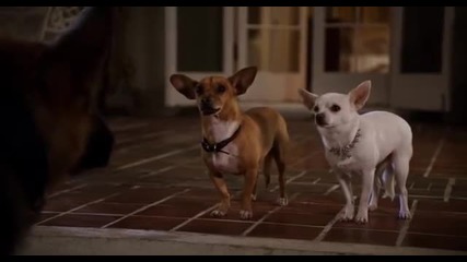 Beverly Hills Chihuahua 2 / Бевърли Хилс Чихуахуа 2 (2011) Целия Филм с Бг Аудио