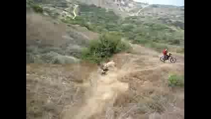 downhill crash