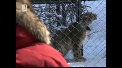 Снежният Леопард на Свобода - Бнт 22 - март - 2011 