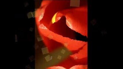 Blackmore`s Night - Lullaby (Modigliani)