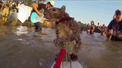 Brad Paisley - River Bank [превод на български]