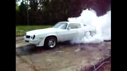 Party Burnout - Camaro