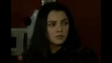 Mundo de fieras capitulo 101, 2006