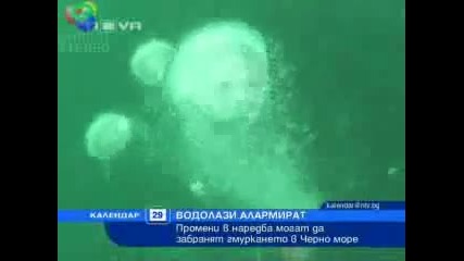 Mogat da zabraniat gmurkaneto v Cherno more-novatv