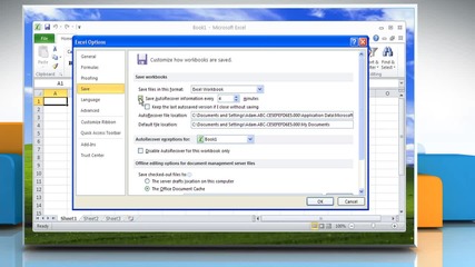 Microsoft® Excel 2010: Enable and adjust Autorecover and Autosave in Windows® Xp