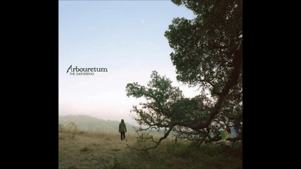 Arbouretum - The Highwayman