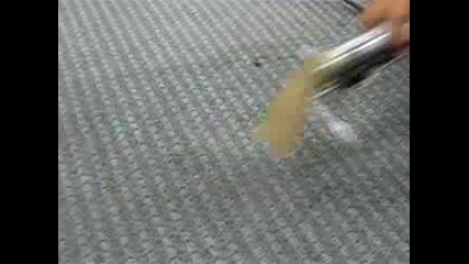 Flat Rate Carpet Rug