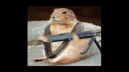 Смешни снимки събрани из нета 2 :)