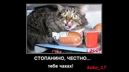 Ново!хванати в точния момент!супер смях!