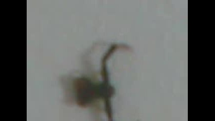 Interesen Paqkk 
