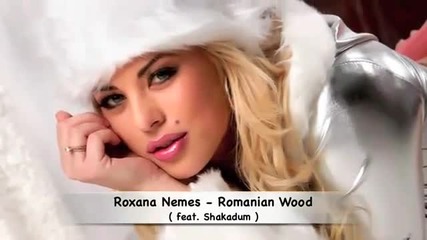 Roxana Nemes - Romanian Wood ( feat. Shakadum ) New Club Song Radio Music 2011.flv