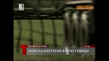 Зеленчуци убиха Трима, а 214 лежат в Болници