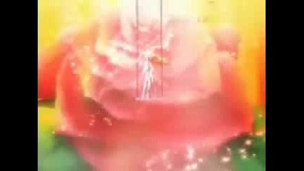 Sailor Moon - Four Seasons