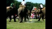 Слонове играят футбол