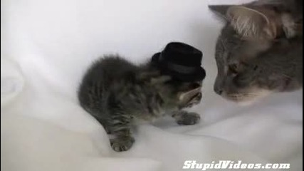 Аз казах ли ти да не слагаш тази шапка бе?! 