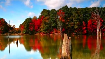 Secret Garden - Poeme (cymatics remix)