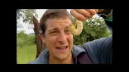 Bear Grylls