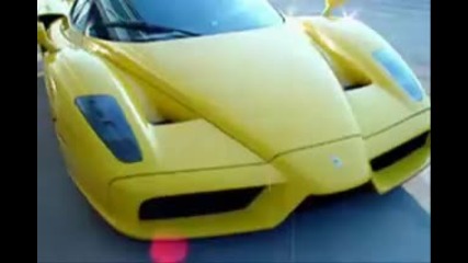 Ferrari vs Lamborghini 