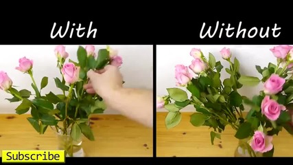 Как да подредим по-красиво цветята във вазата ни
