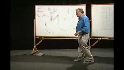 The Animators Survival Kit Dvd 6 a