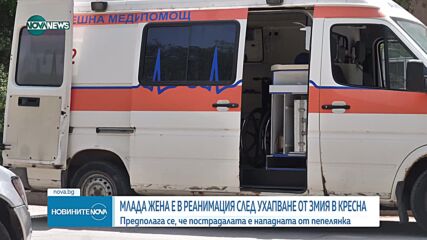 Млада жена е в реанимация след ухапване от змия в Кресна