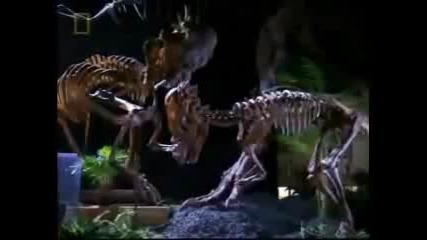 Dinosaur Evolution 4of5