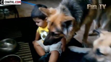 Компилация Смях ! Babies and dogs take each other for a walk - Funny and cute compilation 2015