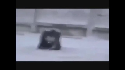 Компилация с много кофти пребивания.