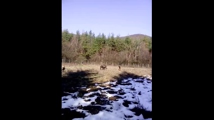 Vid_20140315_153321