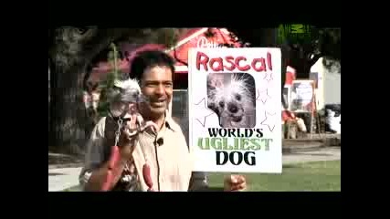 Worlds Ugliest Dog - Spooky Dog