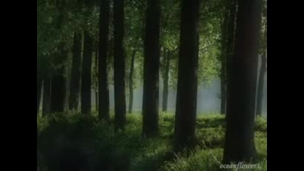 Ryan Farish - Wonderfall