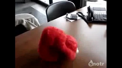 Играчка си умира от смях