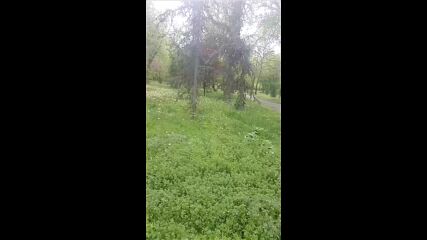 Vid_20230428_162344.mp4