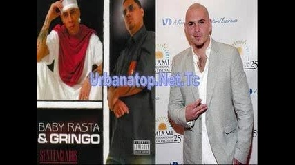 Baby Rasta Feat. Gringo & Pitbull - (tiemblo Remix)