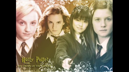 Harry Potter Forever