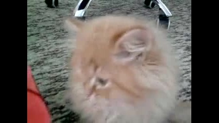 червената кутия не се отваря 2