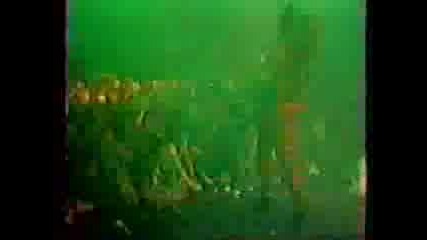 W.a.s.p. - Inside The Electric Circus