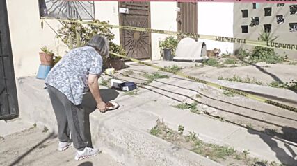 Mexico: Dog of murdered journalist Lourdes Maldonado waits faithfully at her front door