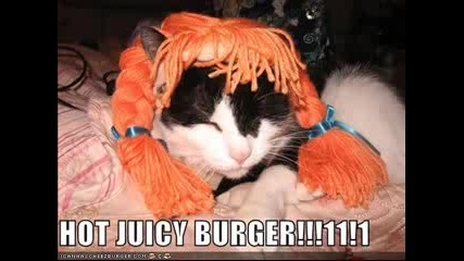 Lolcats