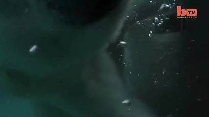The Only Man In The World Who Can Swim With A Polar Bear Grizzly Man