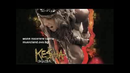 Ke$ha - Cannibal        текст и превод