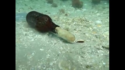Изненада на морското дъно