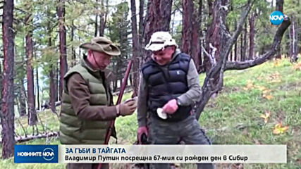 Навръх рождения си ден: Путин бере гъби в сибирските планини