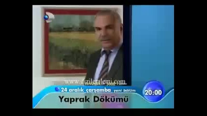 Listopad - Yaprak dokumu 2010 
