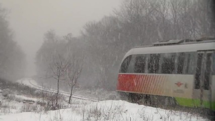 зимна приказка от Царево сливе