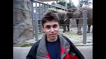 Първото видео качено в Youtube 