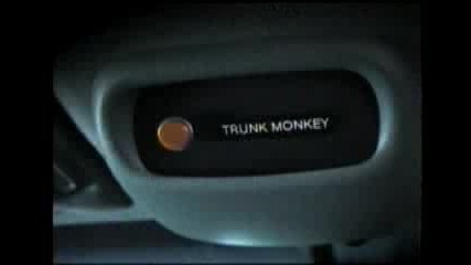 Trunk Monkey