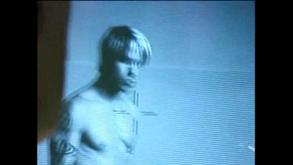 Red Hot Chili Peppers-californication - Behind The Scenes